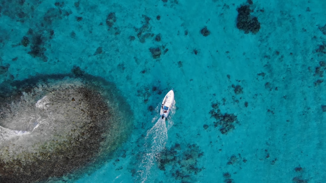 Bateau de plongée professionnel sur eau turquoise avec récif corallien