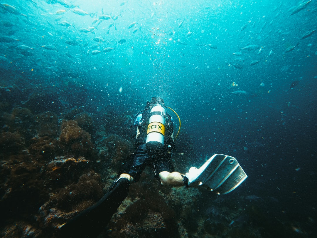 Scuba diver exploring a coral reef with fish.